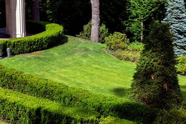 Landschaftsgestaltung einer grünen Wiese mit Rasen und Büschen rund um die Buchsbaumhecke. - Foto, Bild