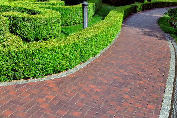 a red tile walkway along the hedge of trimmed green bushes. - Photo, image