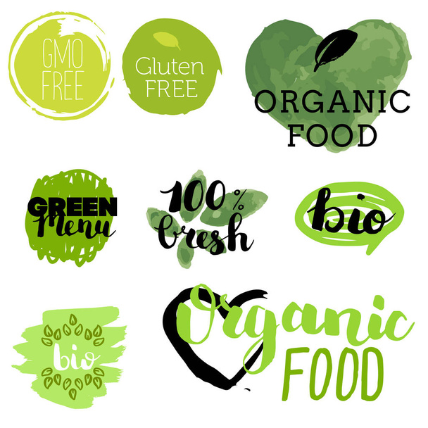 Terveellistä ruokaa kuvakkeet, etiketit. Orgaaniset merkit. Luonnontuote-elementit. Logo kasvisravintolan ruokalistalle. Rasterin kuvitus. Vähärasvainen leima. Ekotuote. - Vektori, kuva