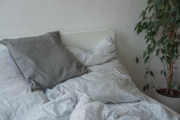 close up of pillows on comfortable bed  - Φωτογραφία, εικόνα