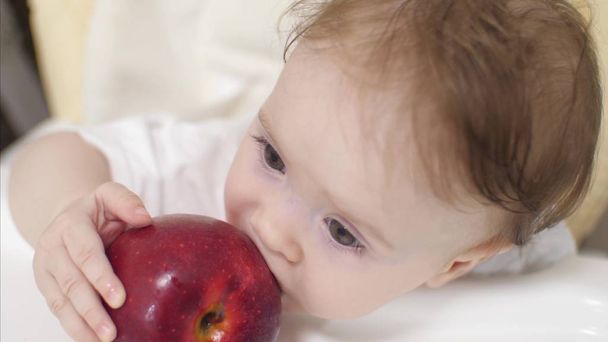 pequena criança morde uma grande maçã vermelha
 - Foto, Imagem