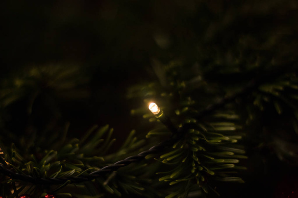 Mum ışığı ve koyu yeşil dallarla süslenmiş Noel ağacı. - Fotoğraf, Görsel