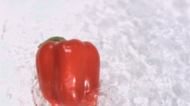 Pepper turning in water in super slow motion - 映像、動画