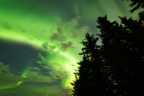 Hermosos colores de las auroras boreales (Aurora Borealis) detrás de una silueta en Alberta, Canadá
 - Foto, Imagen