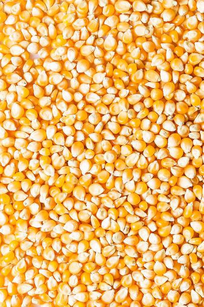 Background of fresh golden raw corn kernels - Foto, Imagen