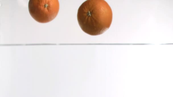 Grapefruits falling into water in super slow motion - Video, Çekim