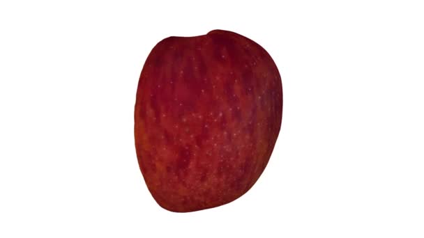 Ρεαλιστική απόδοση ενός περιστρεφόμενου μισού κόκκινου νοστιμότατου μήλου σε λευκό φόντο. Το βίντεο είναι απρόσκοπτα looping, και το 3d αντικείμενο σαρώνεται από ένα πραγματικό μήλο. - Πλάνα, βίντεο