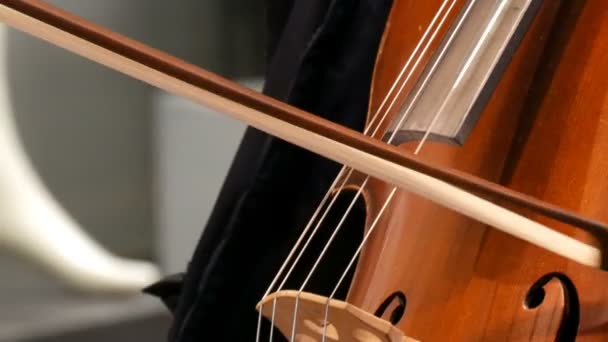 Músico callejero tocando el violonchelo de cerca. Cellista con guantes inclina suavemente las cuerdas
 - Metraje, vídeo
