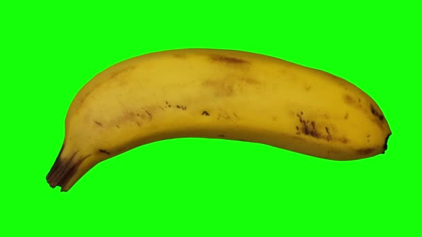 Realista renderizado de un plátano giratorio (variedad Cavendish) sobre fondo verde. El video está girando a la perfección, y el objeto se escanea en 3D desde un plátano real
. - Metraje, vídeo