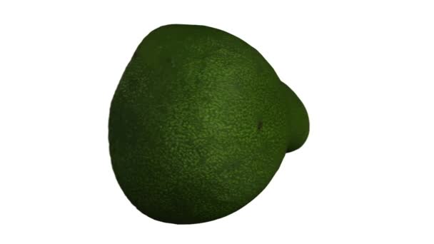 Rendering realistico di un avocado verde Florida rotante (tagliato a metà con fossa) su sfondo bianco. Il video è perfettamente loop, e l'oggetto viene scansionato in 3D da un vero avocado
. - Filmati, video