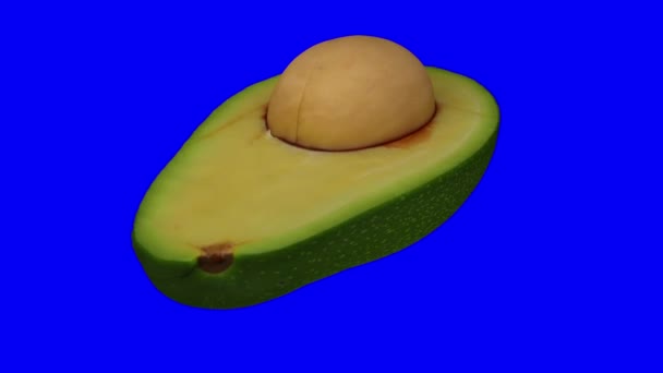 Realistische weergave van een draaiende groene Florida avocado (doormidden gesneden met pit) op blauwe achtergrond. De video is naadloos looping, en het object is 3d gescand van een echte avocado. - Video