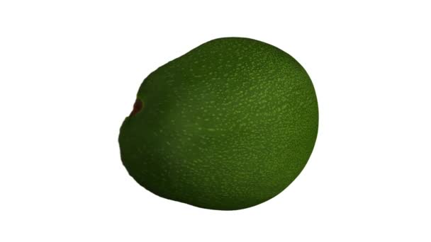 Realistické vykreslení rotujícího zeleného floridského avokáda (rozříznutého v půli s jámou) na bílém pozadí. Video je hladce smyčka, a objekt je 3D skenován ze skutečného avokáda. - Záběry, video