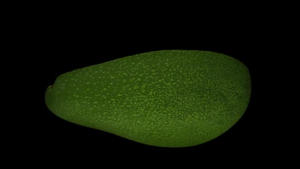 Realistické vykreslení rotujícího zeleného floridského avokáda (rozříznutého v půli s jámou) na černém pozadí. Video je hladce smyčka, a objekt je 3D skenován ze skutečného avokáda. - Záběry, video