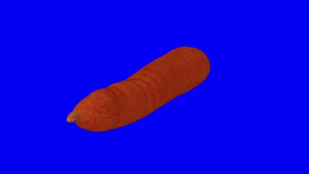 Renderização realista de uma cenoura rotativa em fundo azul. O vídeo é perfeitamente looping, eo objeto é 3D digitalizado a partir de uma cenoura real
. - Filmagem, Vídeo