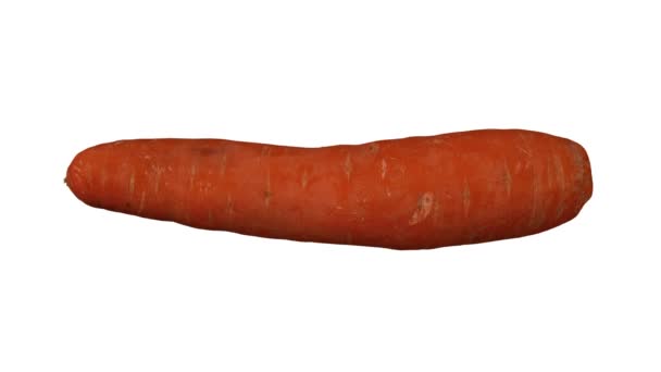 Реалистичный рендеринг вращающейся моркови на белом фоне. Видео бесшовно зациклено, а объект отсканирован в 3D из настоящей морковки.
. - Кадры, видео