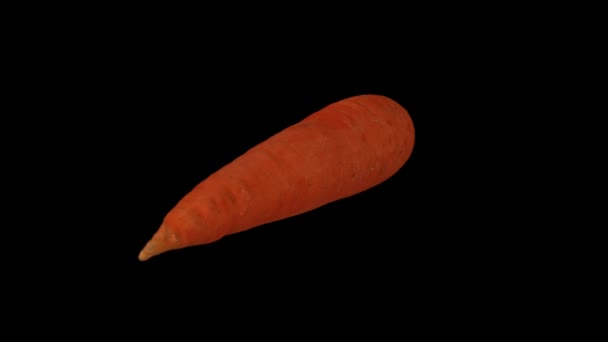 Rendimiento realista de una zanahoria giratoria sobre fondo negro. El video es bucle sin problemas, y el objeto es escaneado en 3D desde una zanahoria real
. - Imágenes, Vídeo