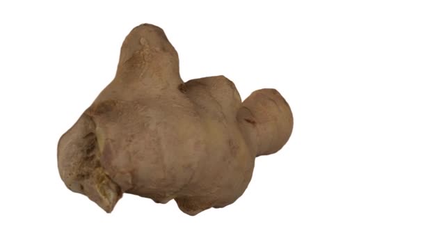 Realistic render of a rotating fresh ginger root on white background. The video is seamlessly looping, and the object is 3D scanned from a real ginger rhizome. - Footage, Video