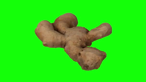 Realistic render of a rotating fresh ginger root on green background. The video is seamlessly looping, and the object is 3D scanned from a real ginger rhizome. - Footage, Video