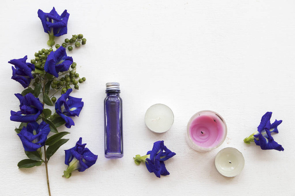 natural herbal oils blue flowers butterfly pea local flora of asia smells scents aroma on background white - Photo, Image