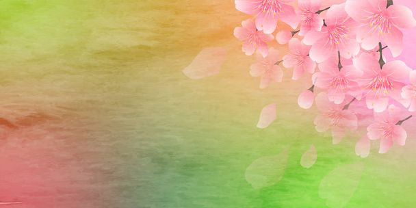 Flor de cerezo primavera flor fondo - Vector, imagen