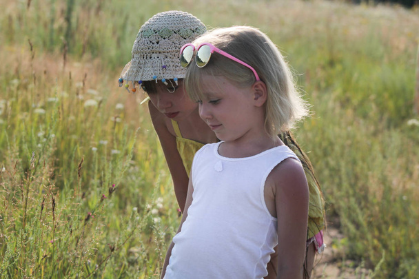 Two little sisters walking in a summer meadow at sunny day - 写真・画像