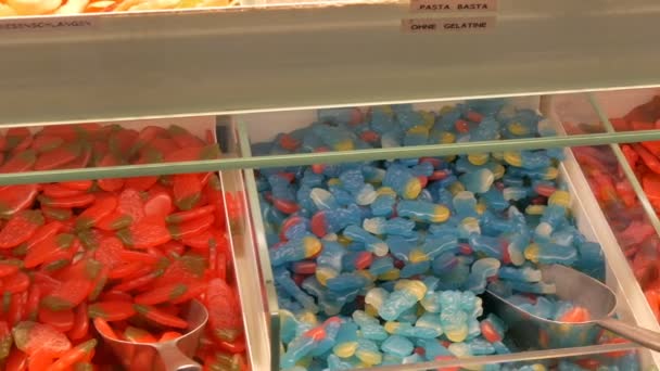 Bir gıda market mağaza sayaçta çeşitli renkli jöle şekerler. Alman şeker adları. şeker ağırlığında olan kürek - Video, Çekim