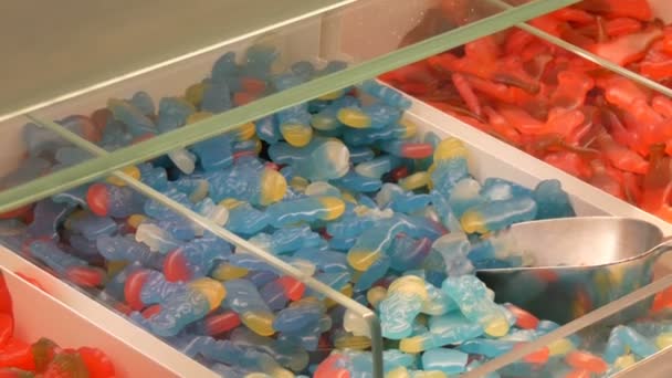 Surtido de caramelos de jalea de colores en el mostrador en una tienda de alimentos, nombres de dulces alemanes, dulces de pesaje están cerca de las palas
 - Metraje, vídeo