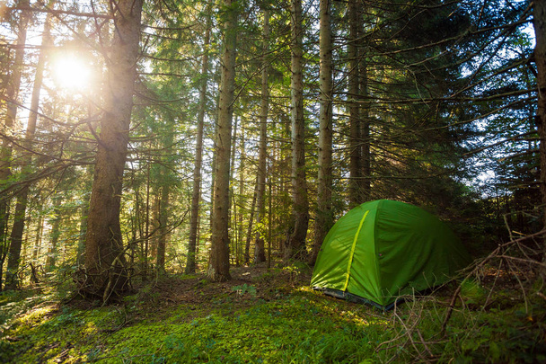 Tourist Tent in a deep forest with morning sun - Photo, Image