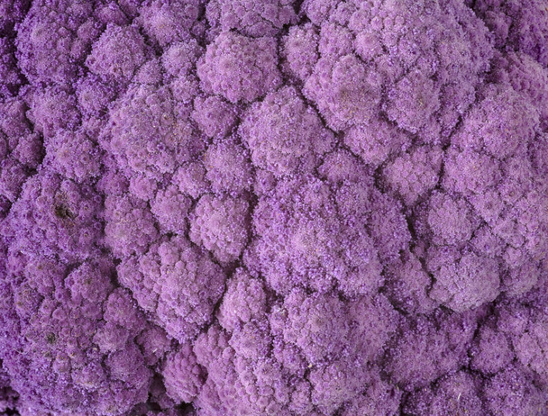 purple cauliflower cabbage in front of white background - Fotoğraf, Görsel