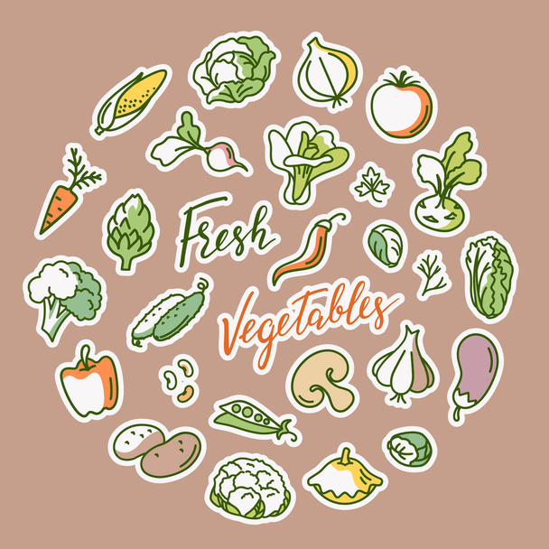 Vector illustration of vegetable with a place for text. - Vector, Image