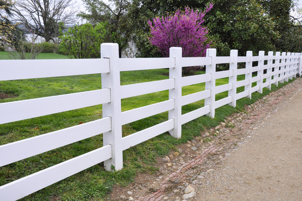 Beyaz ahşap çit - Fotoğraf, Görsel