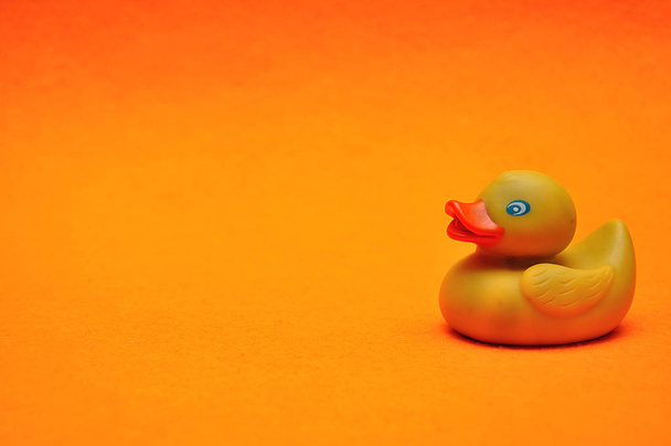Un pato de goma sobre un fondo naranja
 - Foto, Imagen