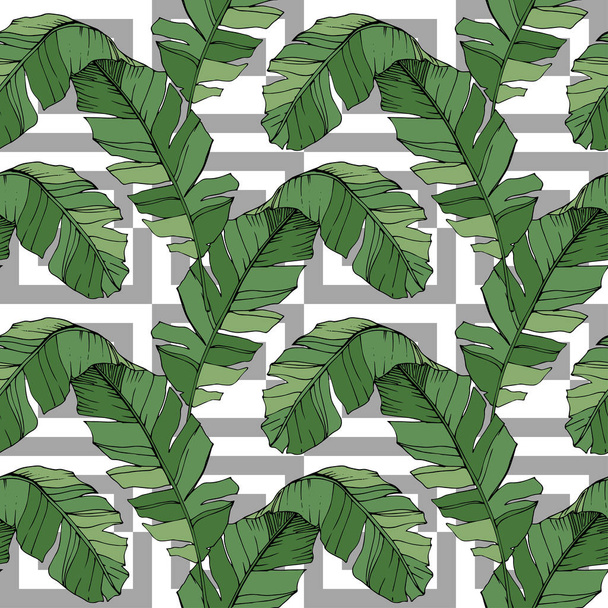 Vector Green leaf plant garden floral foliage. Engraved ink art. Palm beach tree leaves. Seamless background pattern. - Vektör, Görsel