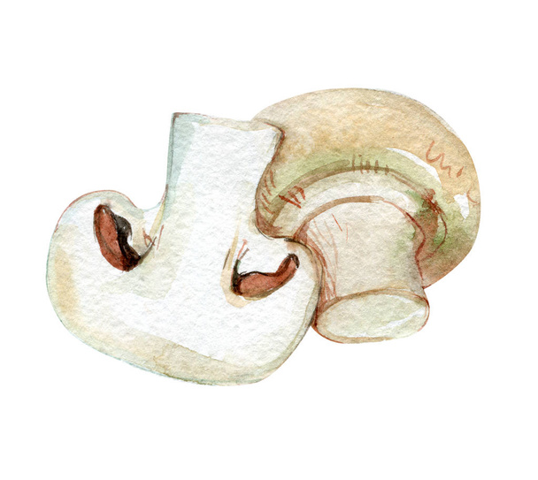 Champignon, mushroom isolated on white background, watercolor illustration  - Fotó, kép