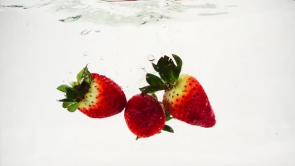 Η φράουλα πέφτει στο νερό με πολλές μικρές φυσαλίδες. Φρούτα σε απομονωμένες άσπρο φόντο. - Πλάνα, βίντεο