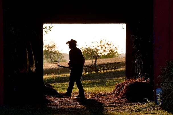 ROLLAG, MINNESOTA, September 1, 2018: An unidentified man cleaning a horse barn is silhouetted in the doorway at the annual WCSTR farm threshers reunion in Rollag held each labor Day weekend where thousands attend. - Фото, изображение