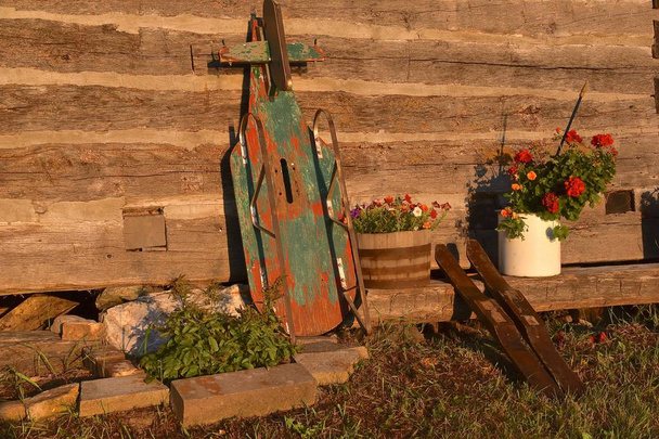 Les rayons du soleil brillent tôt le matin sur un vieux traîneau coloré et des pots de fleurs exposés le long du mur d'une cabane en rondins
.  - Photo, image