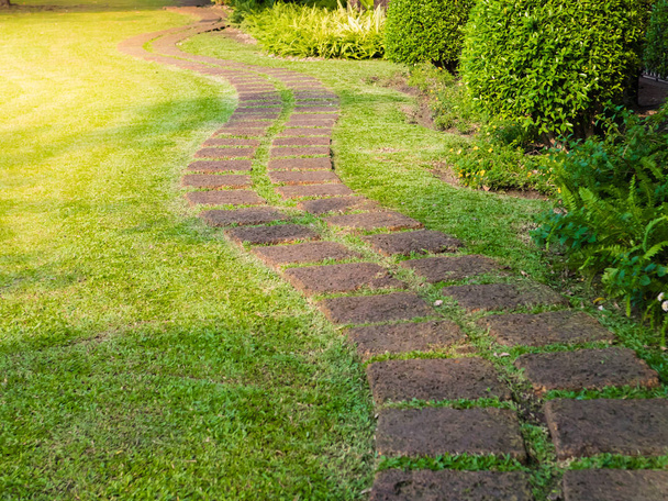 green lawns with bricks pathways, A fresh green lawn in the park, landscape design. - Photo, image