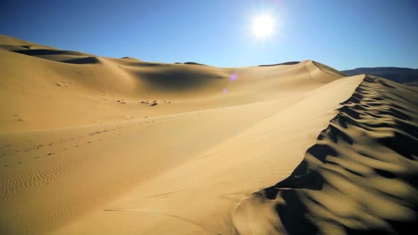 Arid Desert Landscape Environment - Footage, Video