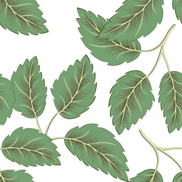 fliegende grüne Blätter auf weißem Hintergrund. frisches Frühlingslaub. Vektorillustration. Umwelt und Ökologie - Vektor, Bild