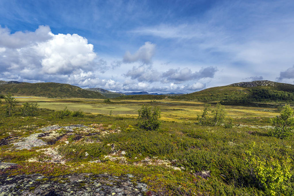 Paisaje noruego cerca de Beitostlen, Noruega
 - Foto, Imagen