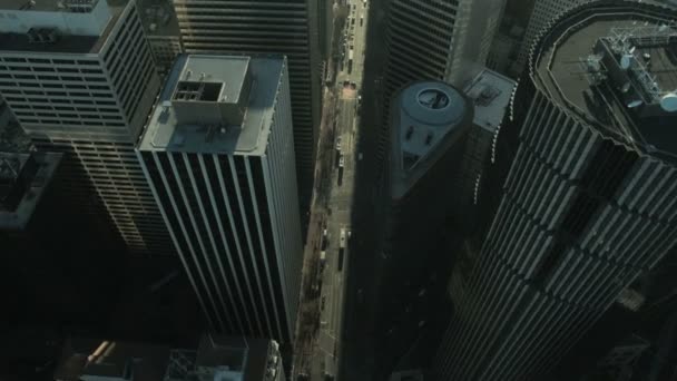 κάθετη Αεροφωτογραφία του περιβάλλοντος του κέντρου της πόλης, ΗΠΑ - Πλάνα, βίντεο