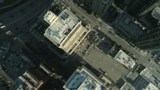 pionowe ptaka na dachu budynków miasta, Stany Zjednoczone Ameryki - Materiał filmowy, wideo