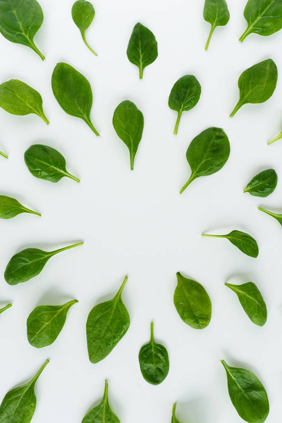 hojas verdes frescas espinacas aisladas sobre un fondo blanco
. - Foto, imagen