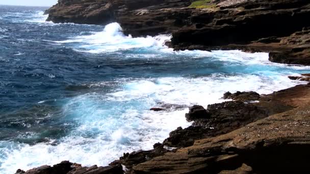 onde di rottura litorale roccioso - Filmati, video