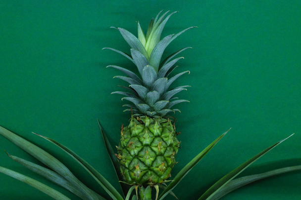 Küçük ve genç yeşil ananas koyu yeşil matt arka plan üzerinde büyüyen - Fotoğraf, Görsel