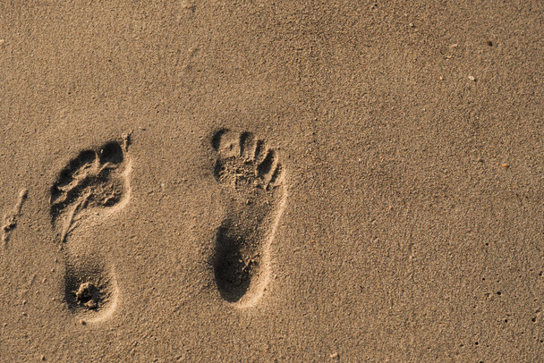 footprint on wet sand near the sea - Photo, Image