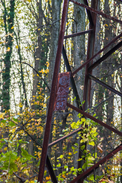 Oude verroeste powerline toren/paal, staande in het midden van het bos, roesten, rottend.  - Foto, afbeelding