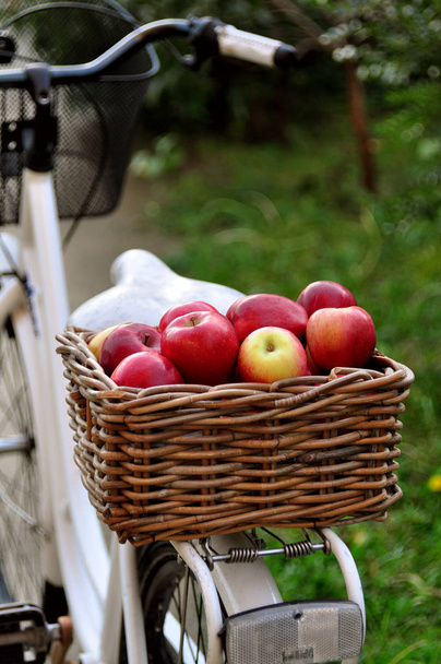 Κόκκινα μήλα σε ένα καλάθι με ένα ποδήλατο λευκό - Φωτογραφία, εικόνα