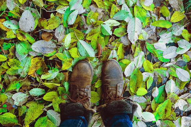 Autumn. Green leaves beneath your feet - Photo, Image